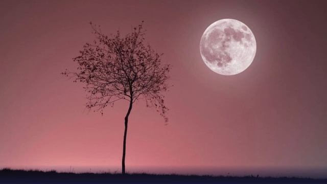 Розовая Луна. Полнолуние 6 апреля 2023года. смотреть онлайн