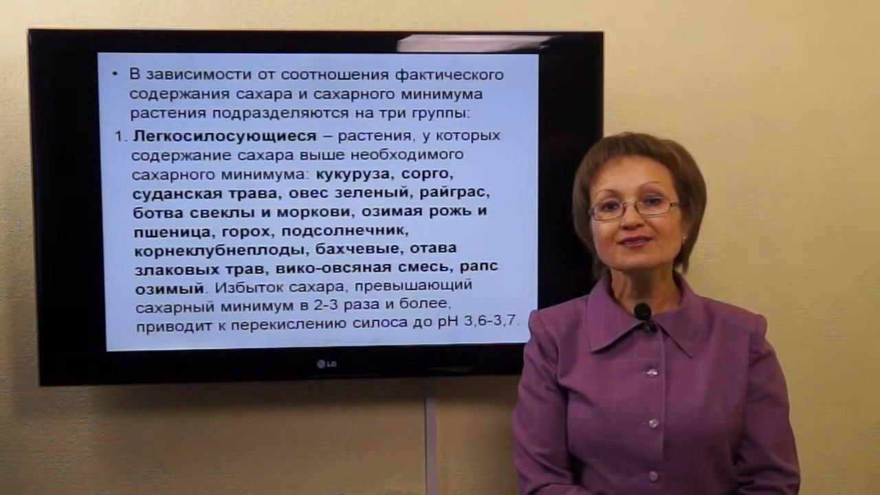 Козина Е.А. Силос смотреть онлайн