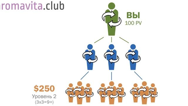 ▶️ Маркетинг план ДОТЕРРА: цифры и факты. Партнеры DoTERRA в Forbes по всему миру.