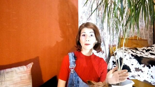 Лайфхаки для зубов собаки или как я снимаю зубной камень в домашних условиях