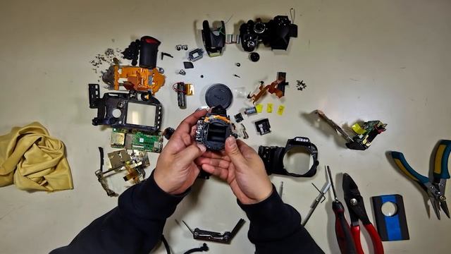 Nikon D3100 Teardown смотреть онлайн