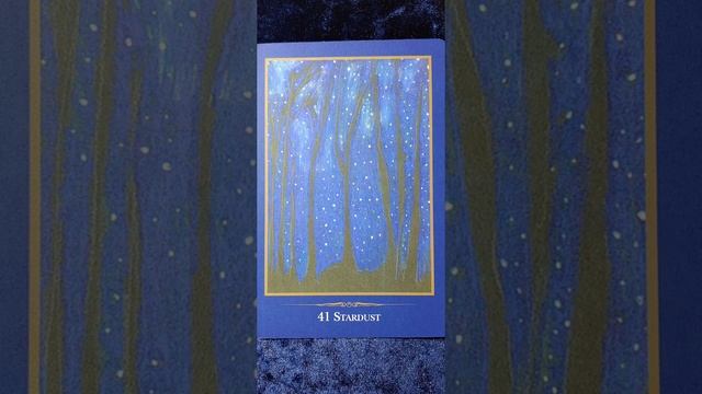 Stardust ?️ Empathic Oracle card meaning смотреть онлайн