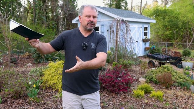 Great Garden Questions Answered - Moon Date, Dividing Ferns, Spider Mites, Pruning, Sun Hydrangea смотреть онлайн