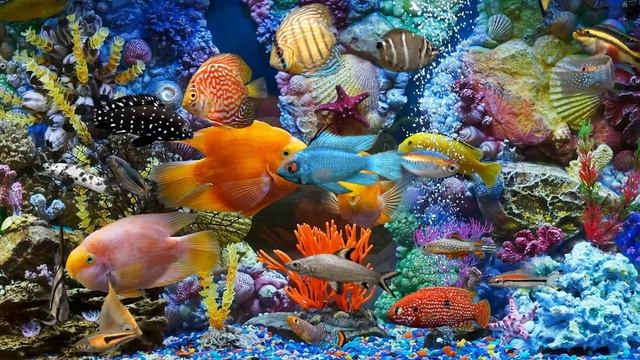 [JQ-0012] Fish tank background image HD ocean series wallpaper pattern size can be customized смотреть онлайн