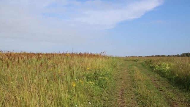 Размышления о фотокамерах и их реальной ценности в создании хорошей фотографии #1 смотреть онлайн