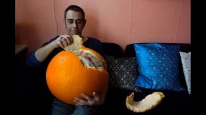 Я не дам вам мандарина! | Анимация | OC