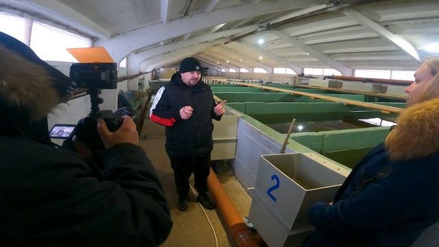 Осетровая ферма Белугафиш в телеке! Экскурсия по ферме / Дал интервью смотреть онлайн