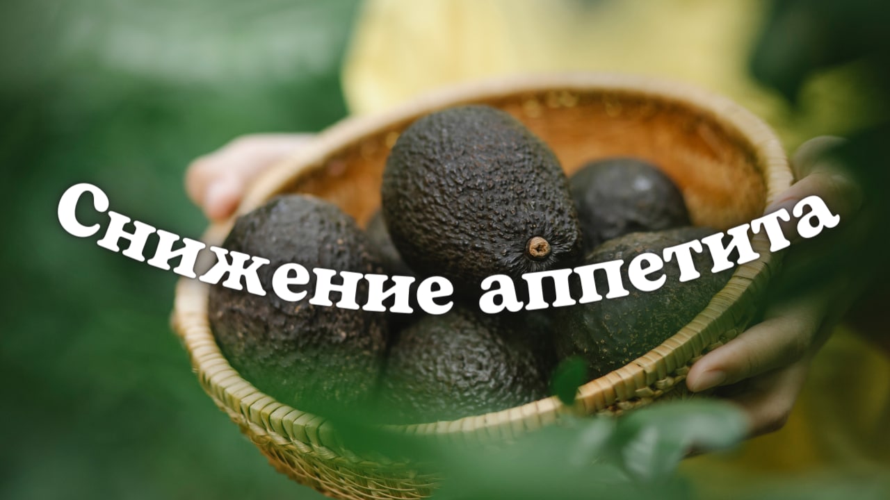 ?Снижение аппетита/мощный саблиминал смотреть онлайн