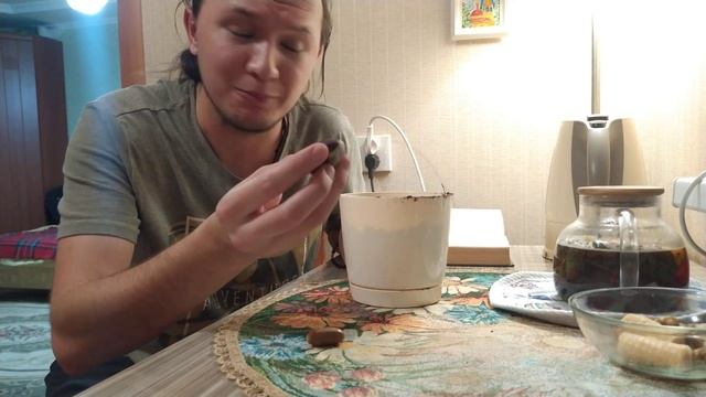 Сады Адониса №14 - Анненский, вечерний чай, конский каштан, жёлудь и обрезанная голова