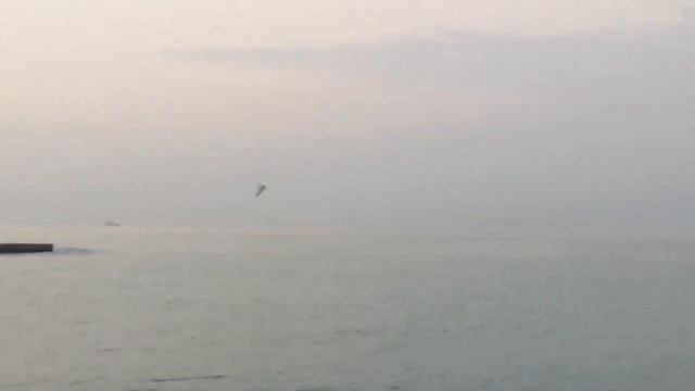 Рыбалка в Сочи. Подошла барабуля и ставрида