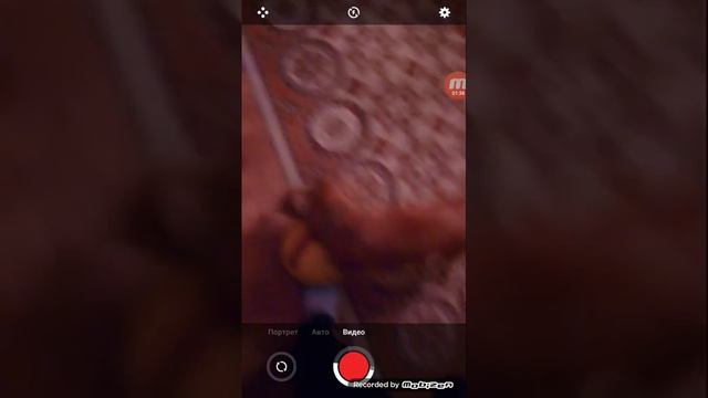 Я играют с своёй собакой смотреть онлайн