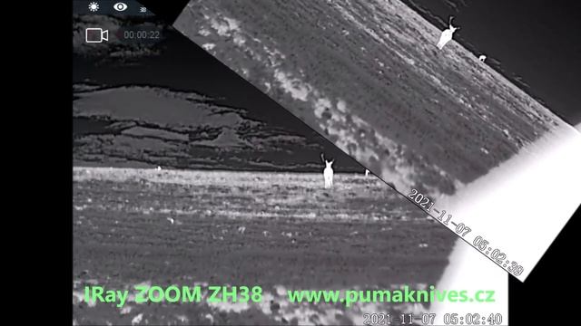 InfiRay ZOOM ZH38 - první vycházka - first hunt смотреть онлайн