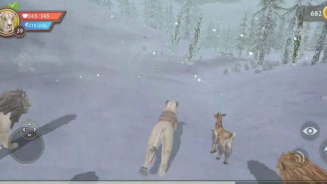Женя Kids онлайн игра про животных смотреть онлайн