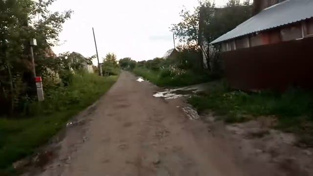 Немецкая овчарка Брут помогает в хозяйстве на даче.