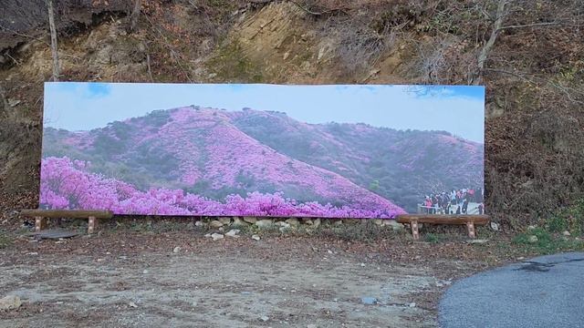 [한국의 명산 ~ 고려산]서해 낙조가 아름다운 진달래 군락지 강화 고려산 등산,Koryeo Mountain смотреть онлайн