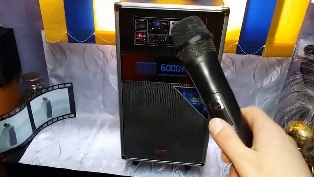 Огромная Портативная Колонка с Аккумулятором и Караоке DTS DS-266 смотреть онлайн