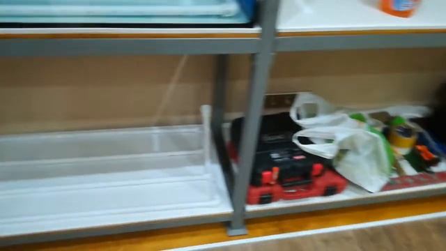 Запуск нового аквариума(часть2) смотреть онлайн