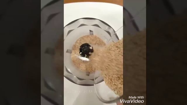 Тахини (кунжутая паста). Делаем сами! Очень просто! смотреть онлайн
