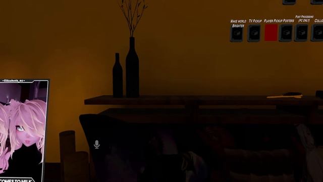 День Рождения, тридцатилетие, моменты из игры VRChat. смотреть онлайн