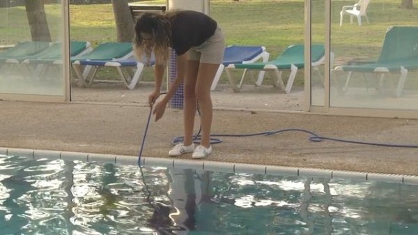 Dolphin Wave 100 User Guide