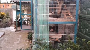 УЛИЧНЫЙ ВОЛЬЕР ДЛЯ КОТОВ СВОИМИ РУКАМИ  ???