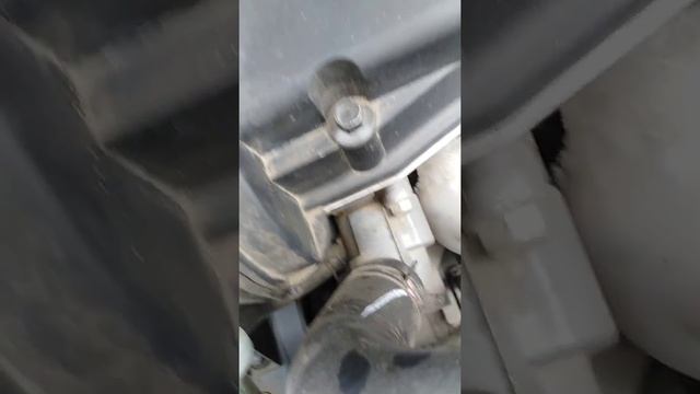 После замены грм лачетти.. Шоркает