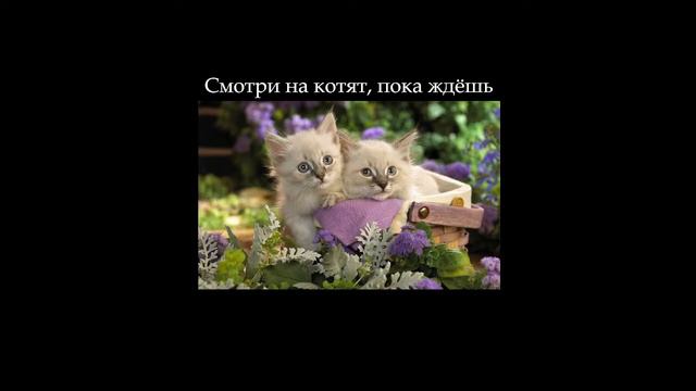 Культурология(ЛК) 24.11.22 - запись пары смотреть онлайн