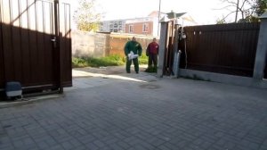 Обзор породы Кане - Корсо