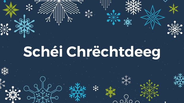 How to say "Merry Christmas" in Luxembourgish - Festive Phrases Advent Calendar Day 16 смотреть онлайн