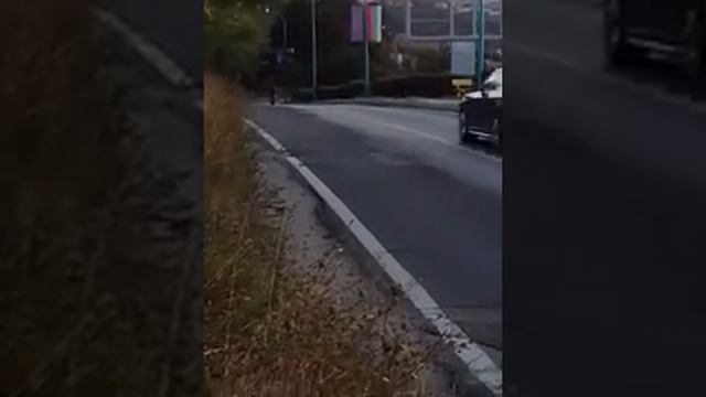 Страна Болгария город Созополь дорога на Бургас и на Созополь Кортеж Кирилла Дмитриевича Белякова(2 смотреть онлайн