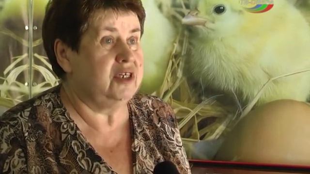 Фирменный магазин ШПФ в Харцызске смотреть онлайн