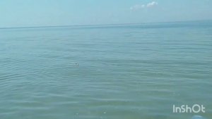 Белосарайская Коса-поход в заповедник/Меотида/.