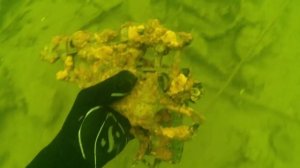 Пистолет найден под водой