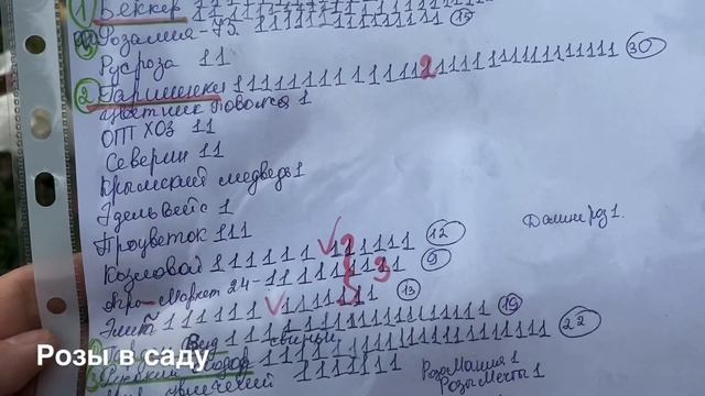 КУПИЛА, ПЛОХИЕ САЖЕНЦЫ РОЗ, УЖАС !!! ПРИЗЁР НАШЕГО ЧЁРНОГО СПИСКА! смотреть онлайн