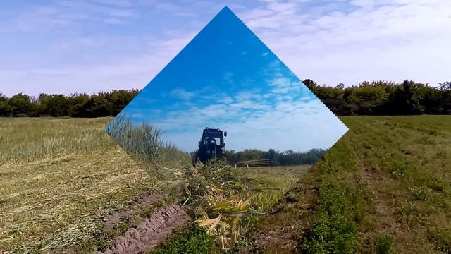 МТЗ 82.1 , покос ярового ячменя на сено / MTZ 82.1 mowing of a spring barley on a hay смотреть онлайн