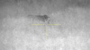 Цифровой прицел Sytong HT60 3/8x.