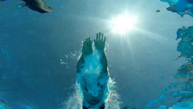 Пансионат "Югра" - Анапа, Благовещенская, Бугазская коса 2018 смотреть онлайн