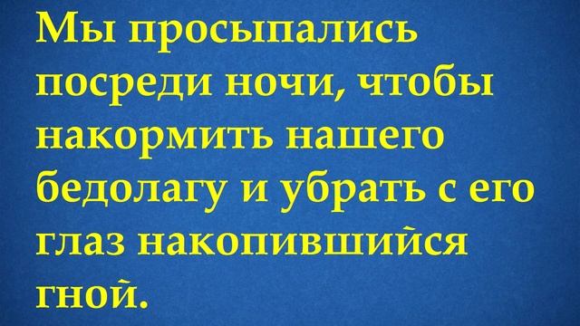 СПАСЕНИЕ СЛЕПОГО КОТЕНКА ОТ СМЕРТИ смотреть онлайн