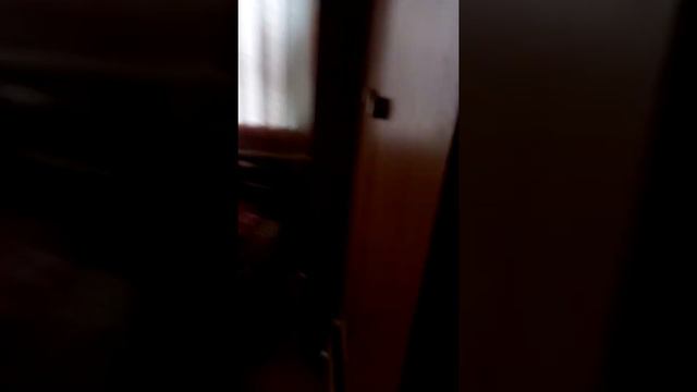 Удивительный мир животных смотреть онлайн