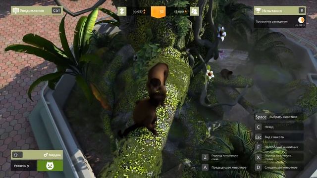 Перуанский ЯГУАР - ZOO Tycoon - Прохождение #6 смотреть онлайн