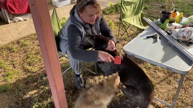 461❤️Кубанские будни. Удачно купили поддоны! Плодотворно поработали, хорошо отдохнули!! смотреть онлайн