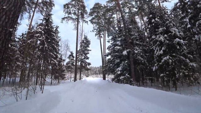 Путешествие по снежному лесу @AAvmeste смотреть онлайн