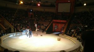 краснодарский цирк часть 1