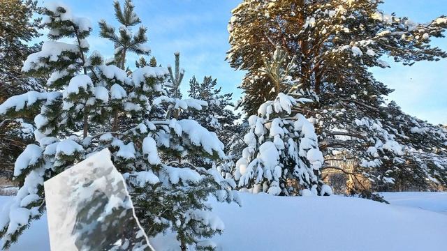 Эффект акварельного рисунка и разорванной бумаги в Фотошоп и Прошоу Продюсер смотреть онлайн