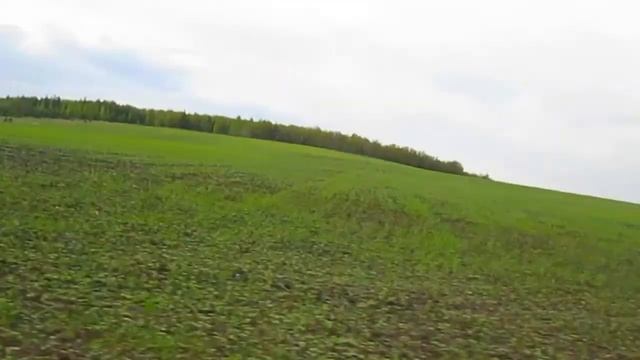 Зеленое поле весной рядом с лесом смотреть онлайн