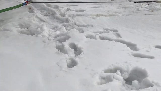 Первый выезд на дачу 04.21 смотреть онлайн