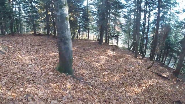 Аибга. Эндуро в Красной поляне. смотреть онлайн