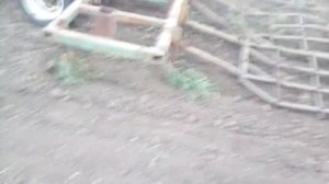 Культивирую пар трактором МТЗ 80 и самодельный культиватором