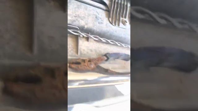 2003 VW Passat 1.8 turbo cambio de catalizador смотреть онлайн