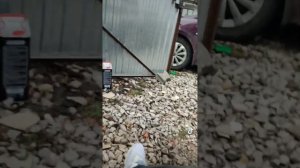 ЗАМЕНА МАСЛА В КПП, коробке передач Hyundai i30